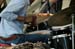 101_Brian_Blade_NJF_08_482